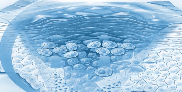 Biosimilars in der Dermatologie - Update