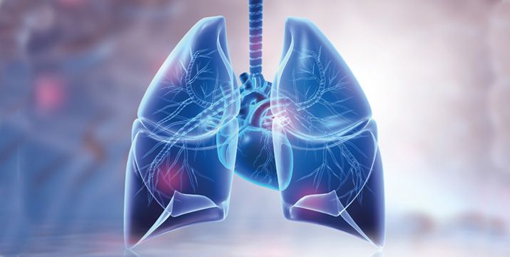 Durch Behandlung der COPD das kardiopulmonale Risiko senken